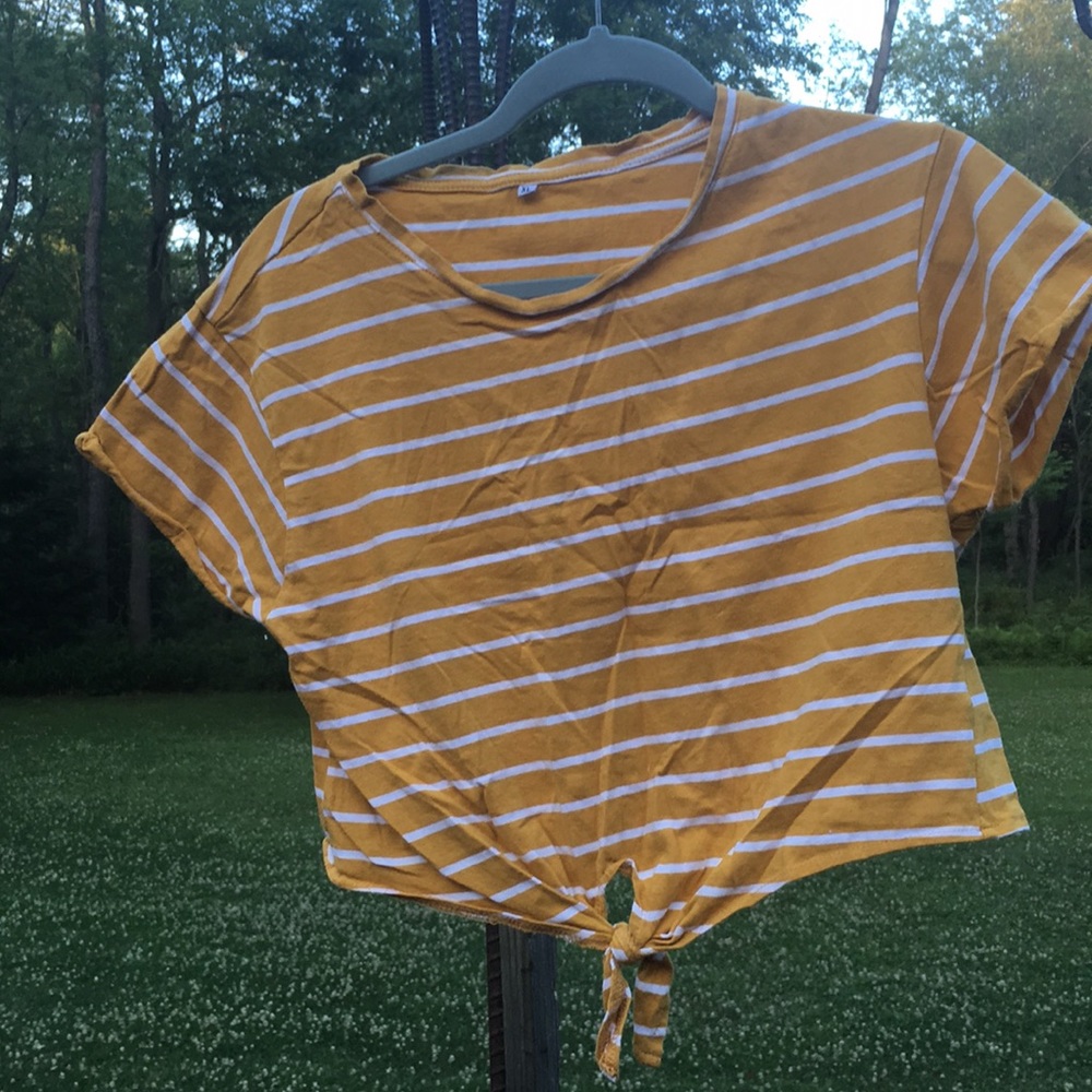 Gold stripe crop tee
